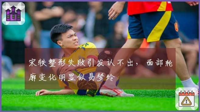 宋轶整形失败引发认不出，面部轮廓变化明显似易梦玲